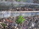 image of grave number 364904